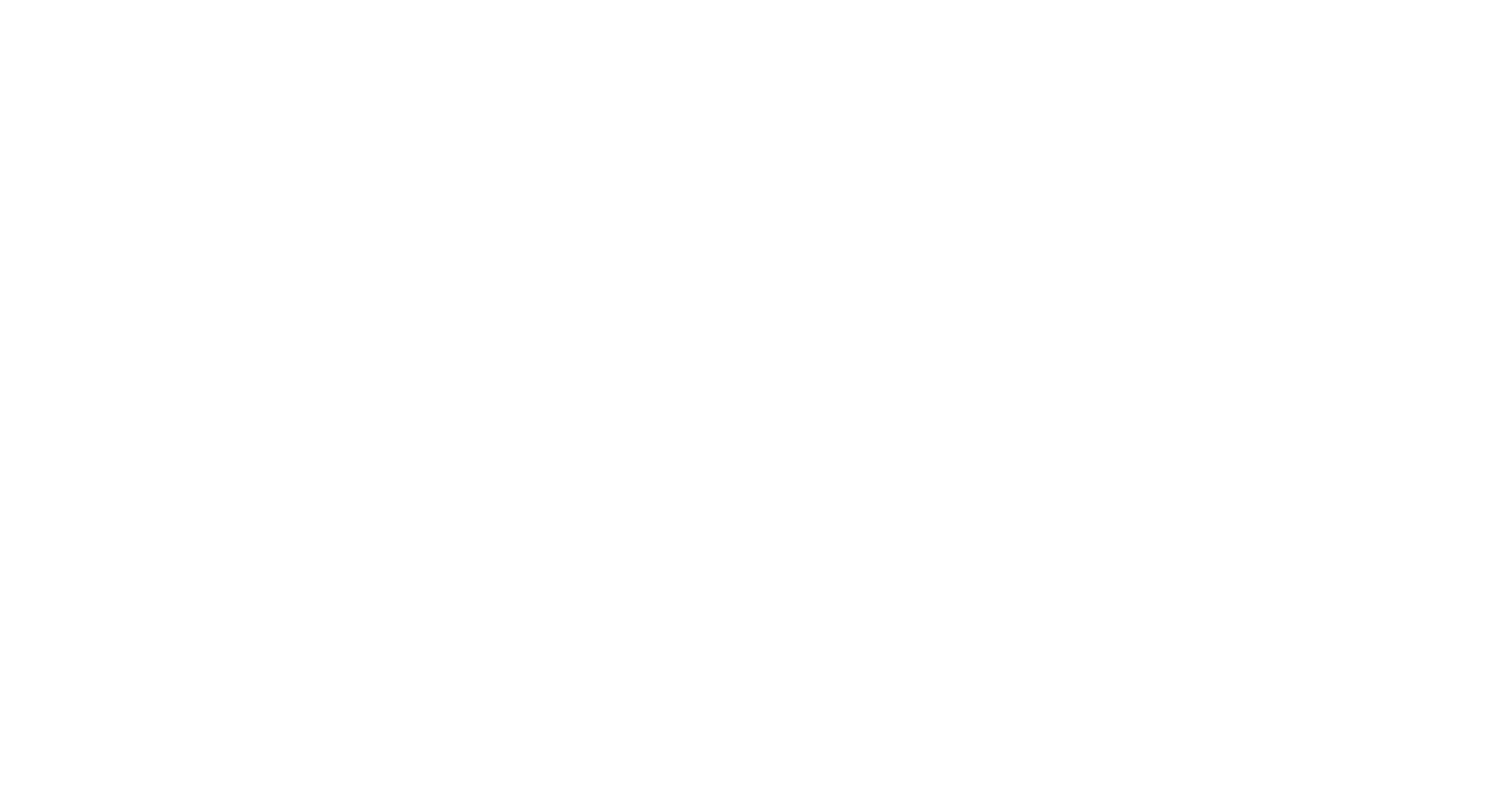 vl-insurance-agency-white-logo
